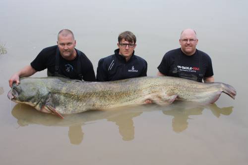 ebro hunters im angelcamp von taffi tackle tours in mequinenza