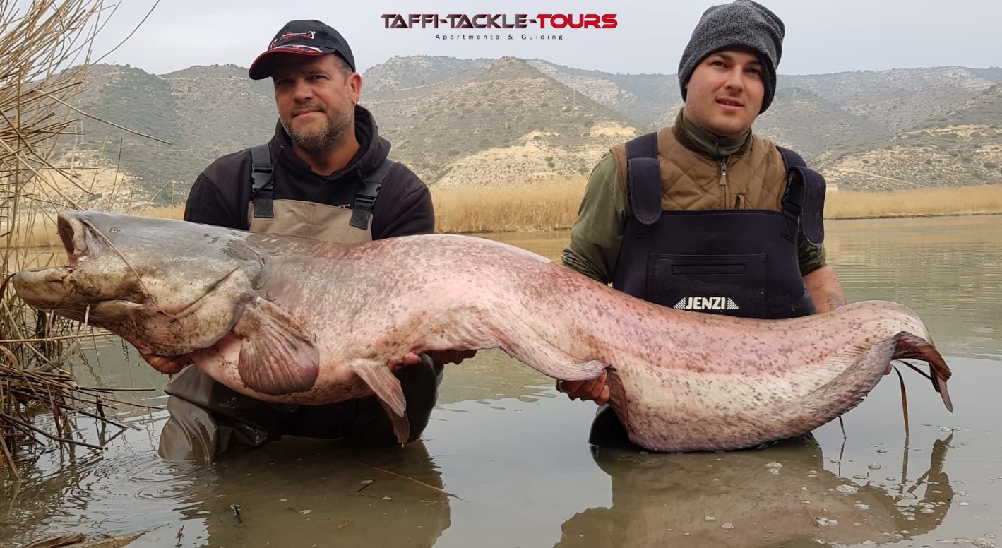 jenzi im welscamp in mequinenza bei taffi tackle tours