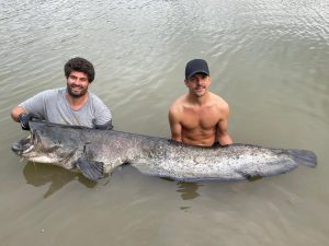 wallerfischen in spanien bei taffi tackle tours beim vollguiding