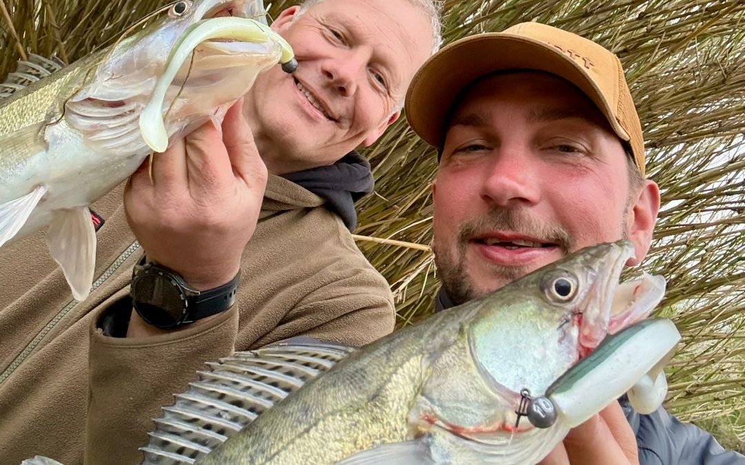 Aktiv Angeln auf Zander und Waller