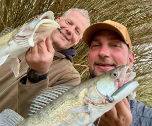 aktiv angeln auf zander und barsch bei taffi tackle tours in spanien