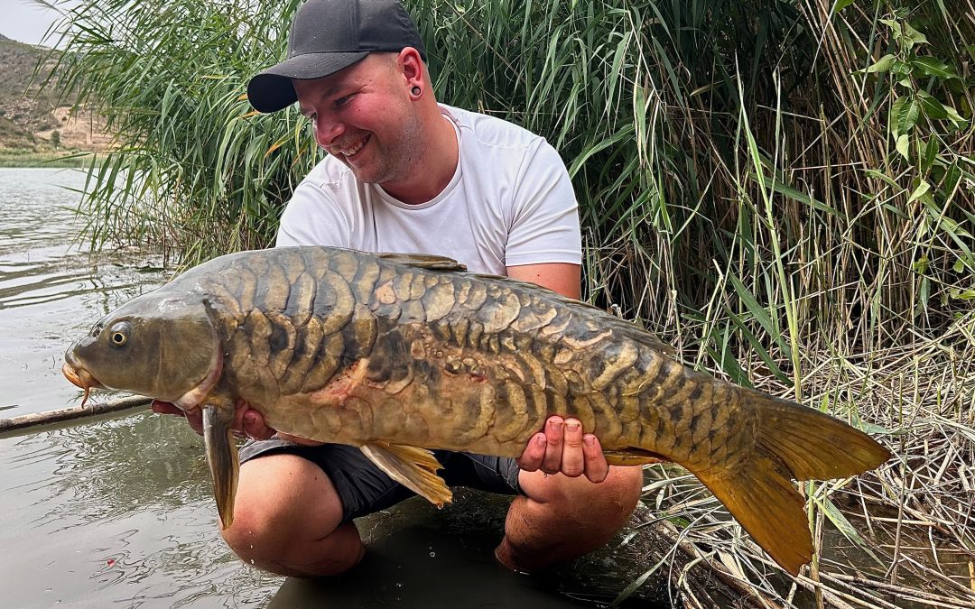 beauty carps aus spanien bei taffi tackle tours
