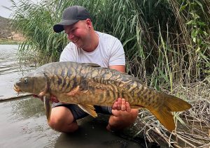 beauty carps aus spanien bei taffi tackle tours
