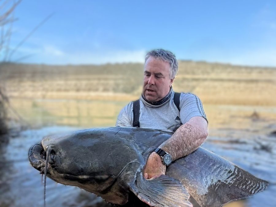 mein 73. waller über 2,50m bei unseren touren bei taffi tackle tours