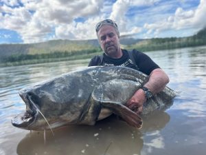 mein 74. waller über 2,50m bei meinen guidingtouren von taffi tackle tours