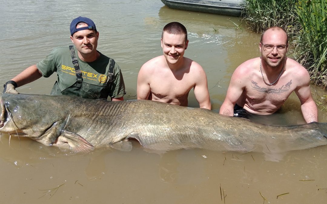 monsterfische bei taffi tackle tours in spanien