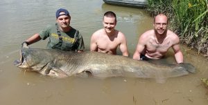 monsterfische bei taffi tackle tours in spanien