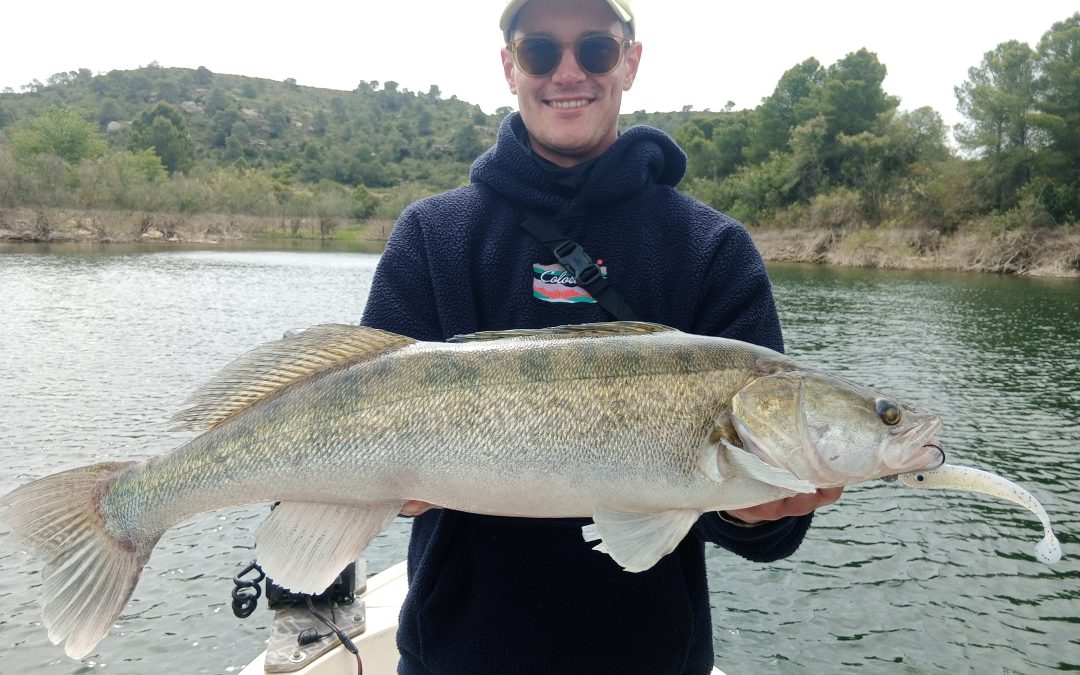 zanderangeln in spanien bei taffi tackle tours