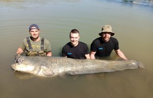 die großfischadresse in mequinenza beim vollguiding taffi tackle tours