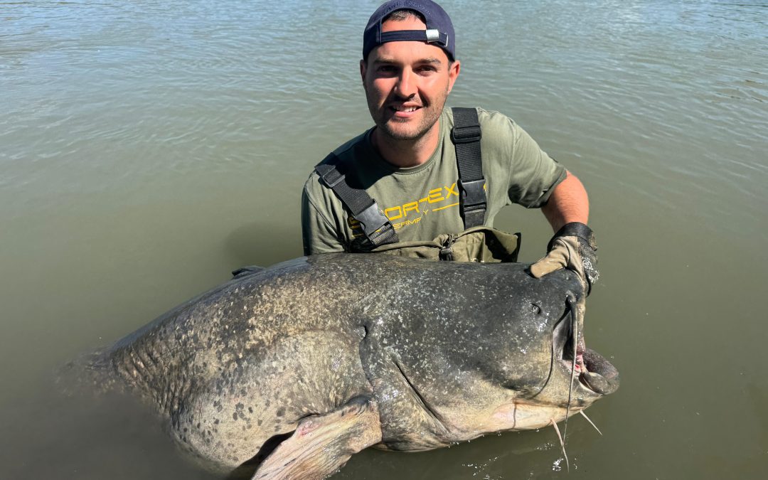 große waller fangen in spanien bei taffi tackle tours