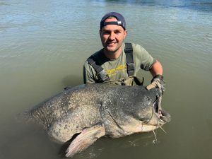 große waller fangen in spanien bei taffi tackle tours