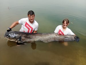 familienangeln in mequinenza bei taffi tackle tours