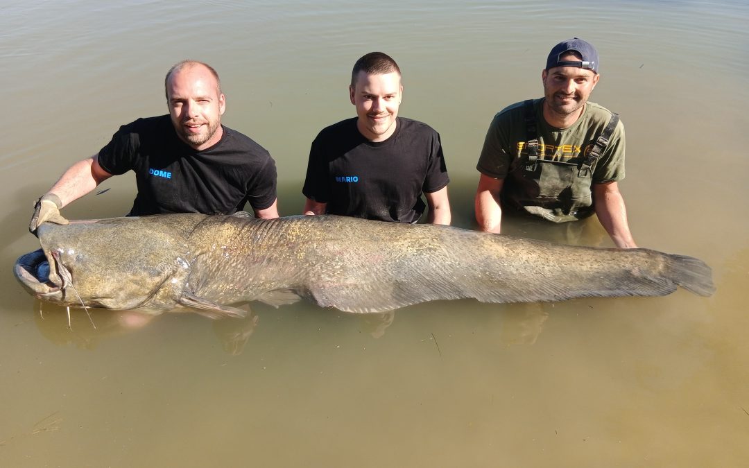 2,50m Serie beim Vollguiding!
