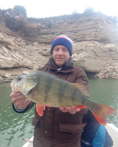 barsch angeln in spanien bei taffi tackle tours in mequinenza